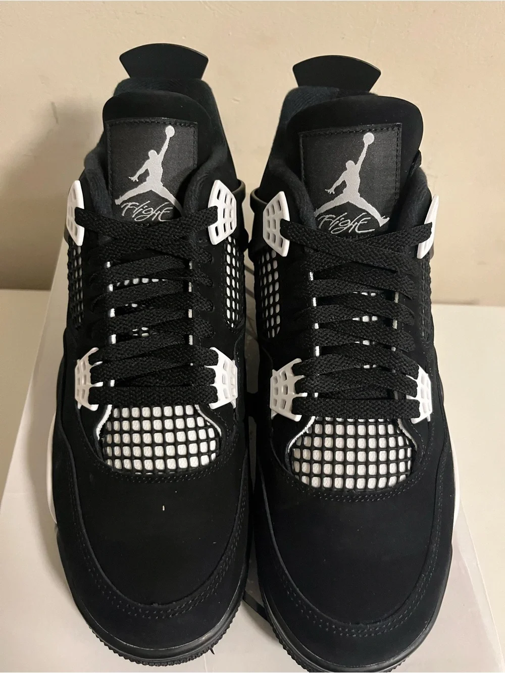 Jordan iconic silhouette
